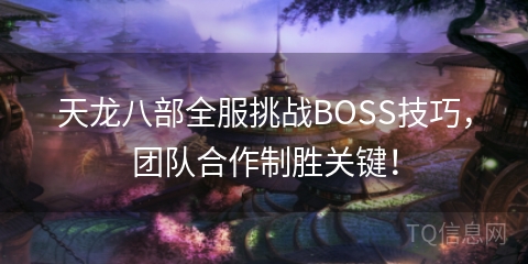 天龙八部全服挑战BOSS技巧，团队合作制胜关键！